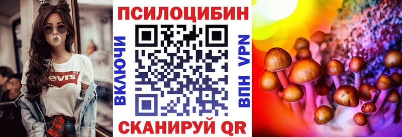 Псилоцибиновые грибы Psilocybe  где найти наркотики  ОМГ ОМГ tor  Ясногорск 